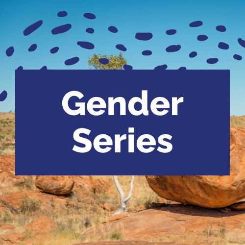 Northern Institute Gender Equity and Diversity Series